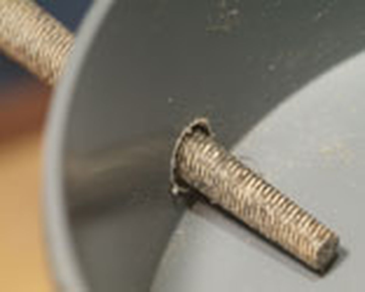 436(85) Abeto paraguas paso12