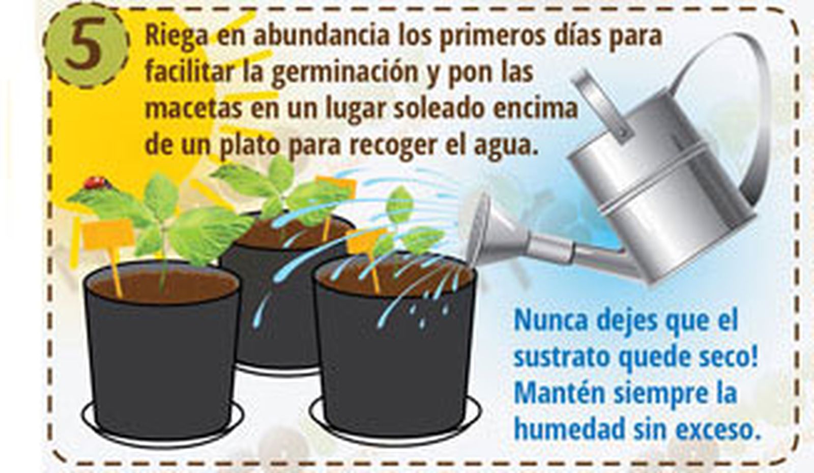 Siembre directa 5 Siembre directa 5