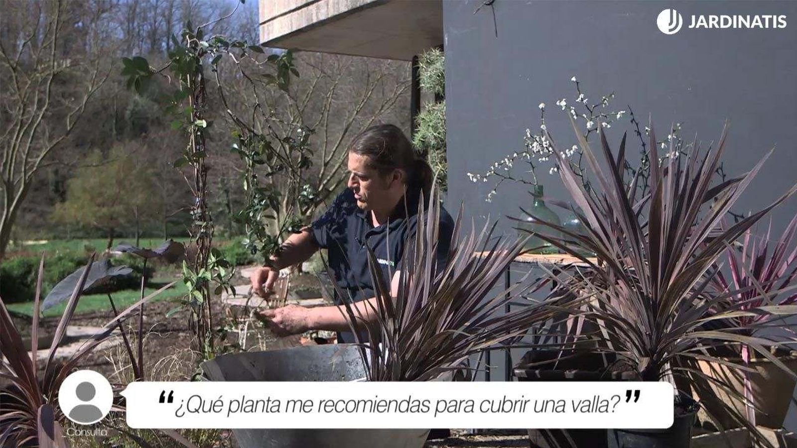 Iñigo Segurola cuenta qué planta recomienda para vallas Iñigo Segurola cuenta qué planta recomienda para vallas