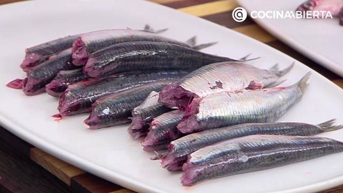 karl7136 anchoas gabardina p1