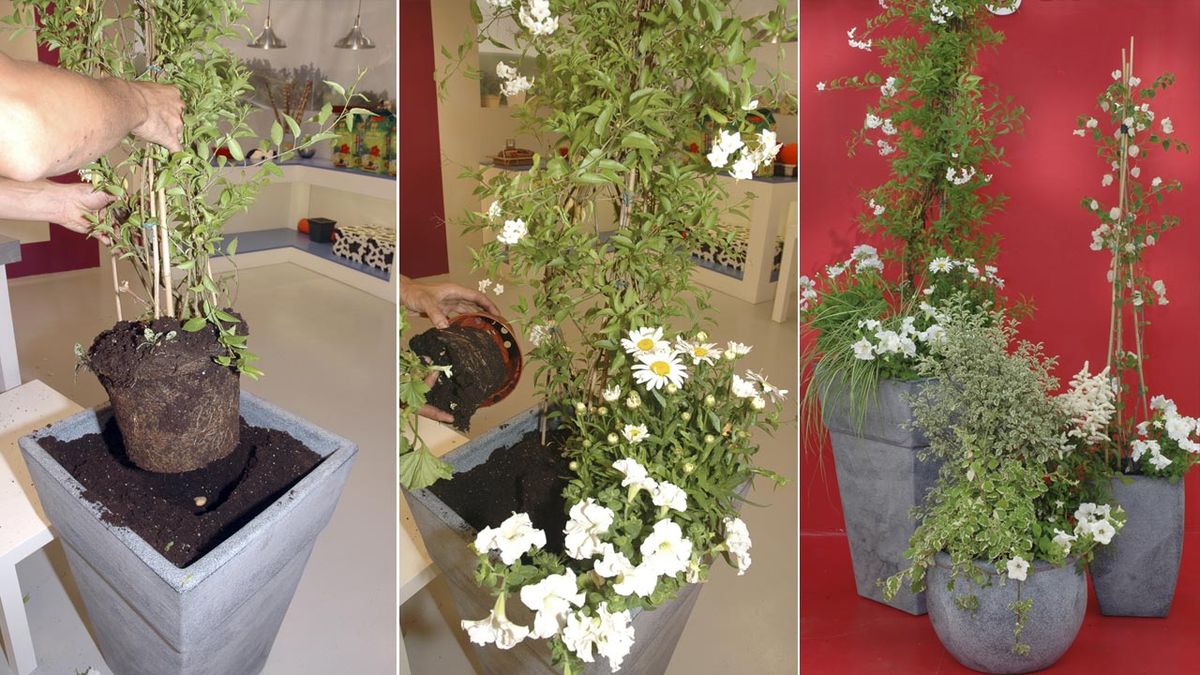 composicion enredaderas flor blanca deco 107