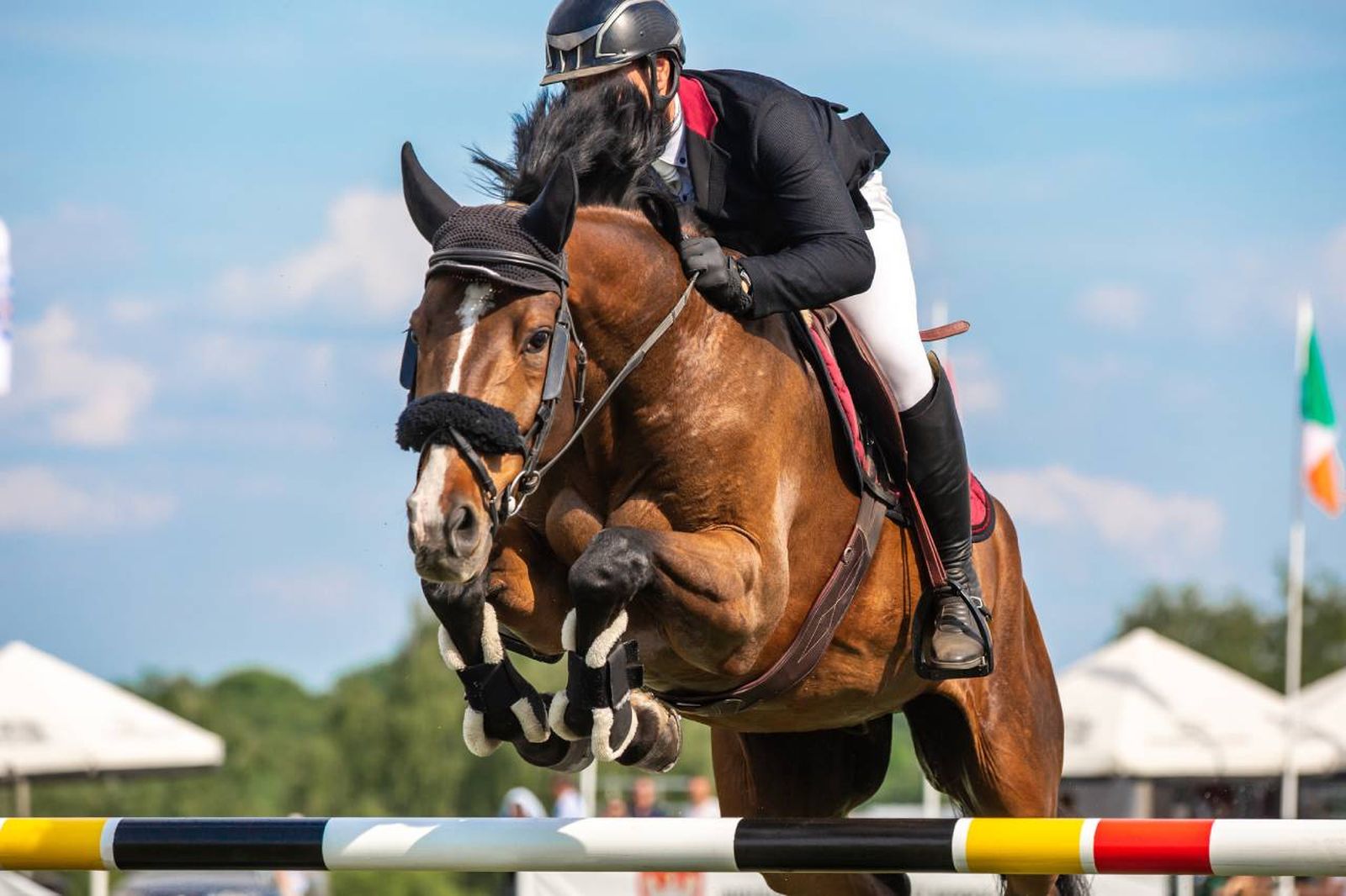 Un caballo de salto necesita seguir una dieta equilibrada y rica en nutrientes.