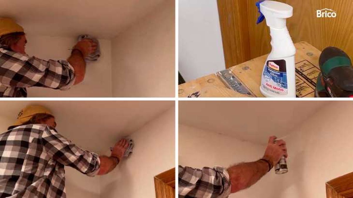 Aplicar spray antimoho y pintar la zona