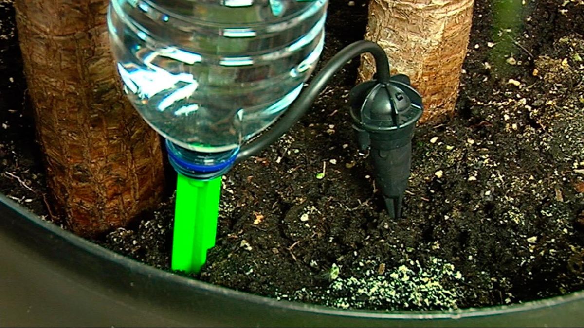 Colocar un sistema de riego por goteo paso 5