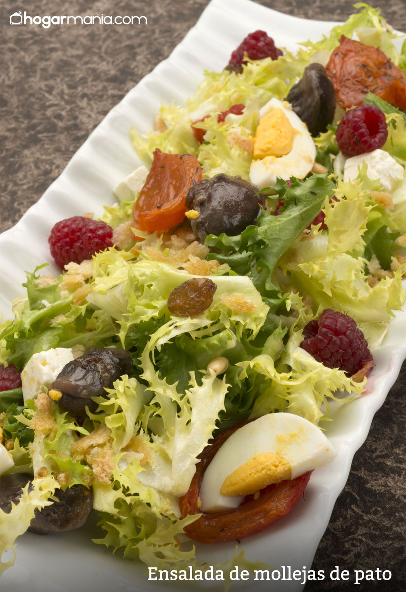 6090 1 Ensalada de mollejas de pato vertical xl 6090 1 Ensalada de mollejas de pato vertical xl