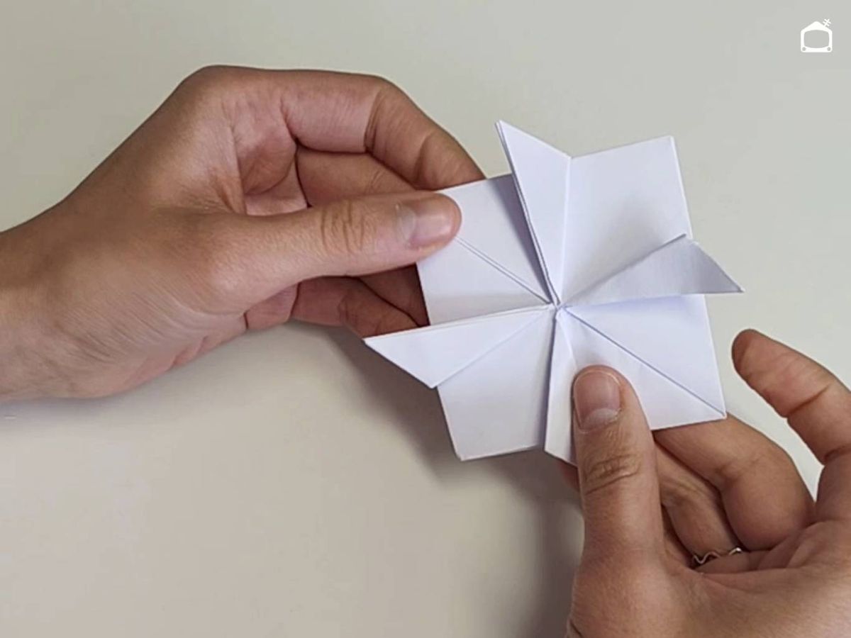 Forma las patas traseras y delanteras de la rana.