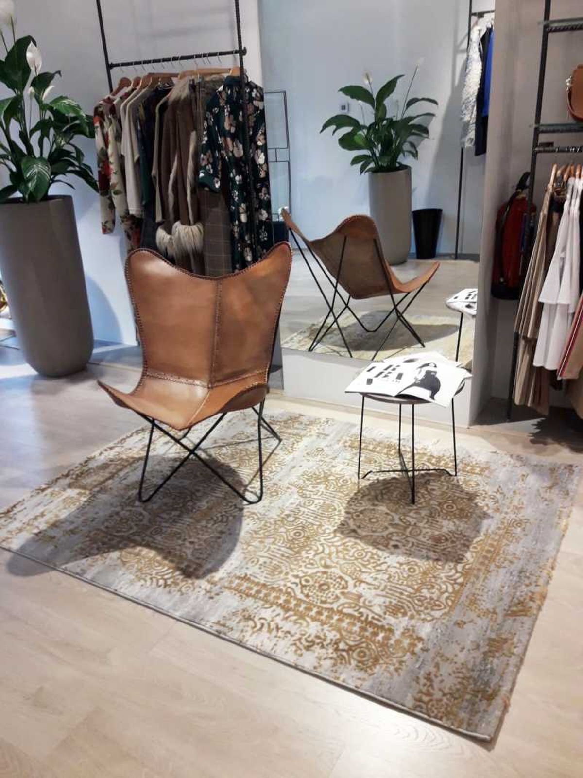 Zona tipo salón con silla butterfly, alfombra desgastada y planta grande.