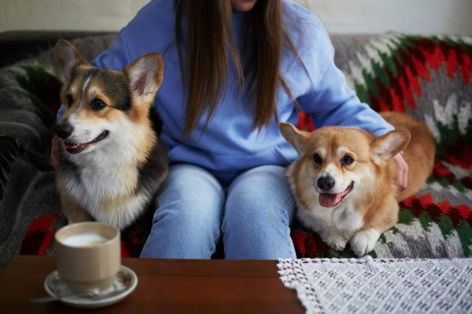 Lo primero que debes tener en cuenta es que no todos los perros encajan entre sí. Lo primero que debes tener en cuenta es que no todos los perros encajan entre sí.