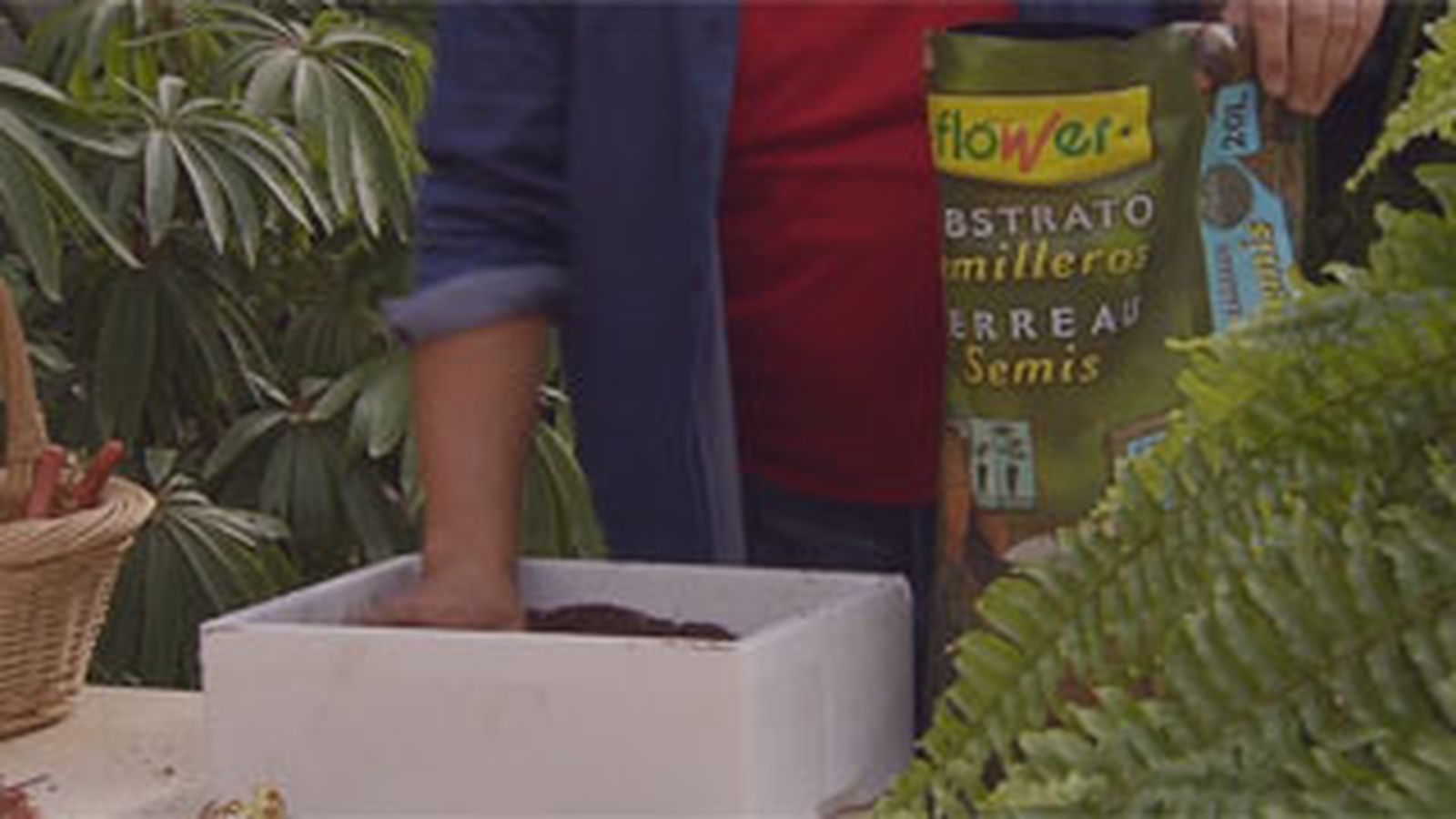 BRICO_JARDIN_883_Siembras con semillas otoñales paso 4