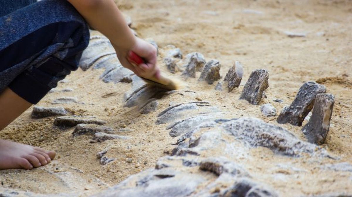 como eran los dinosaurios 13