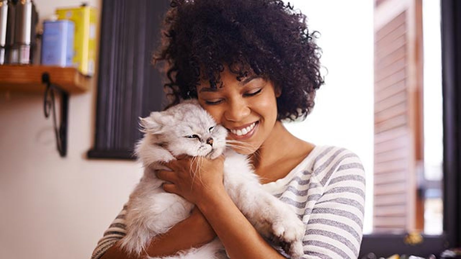 snacks ideales gatos 1 abrazo gato snacks ideales gatos 1 abrazo gato
