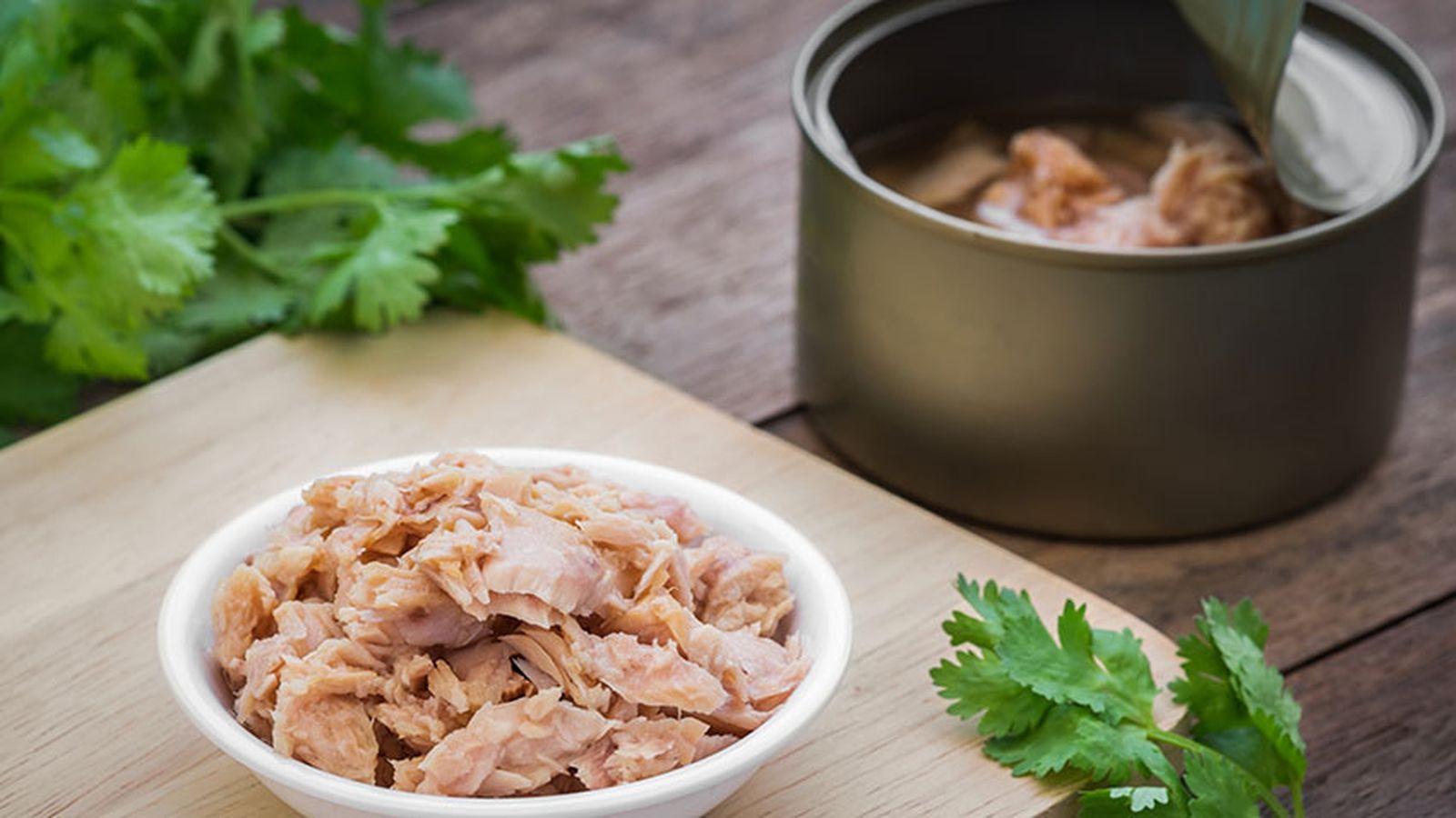 buenos procesados atun buenos procesados atun
