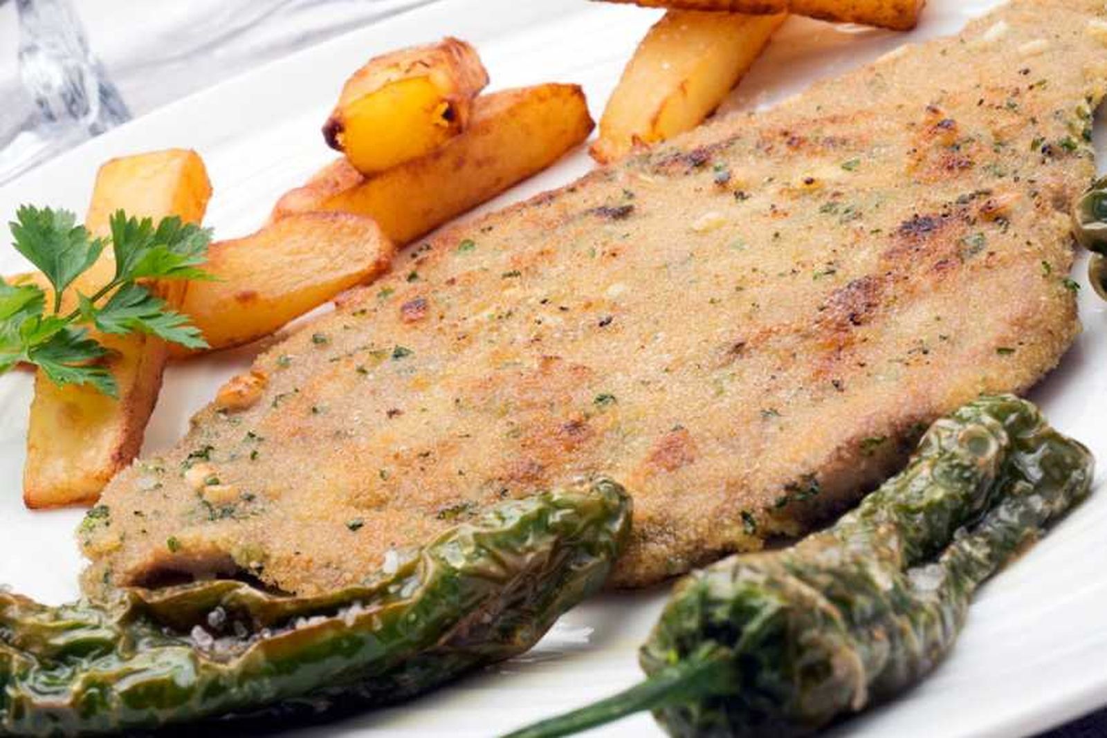 Segundos platos