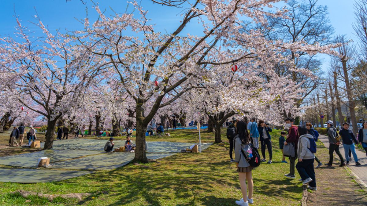 5 razones por las que visitar japon en primavera temperatura
