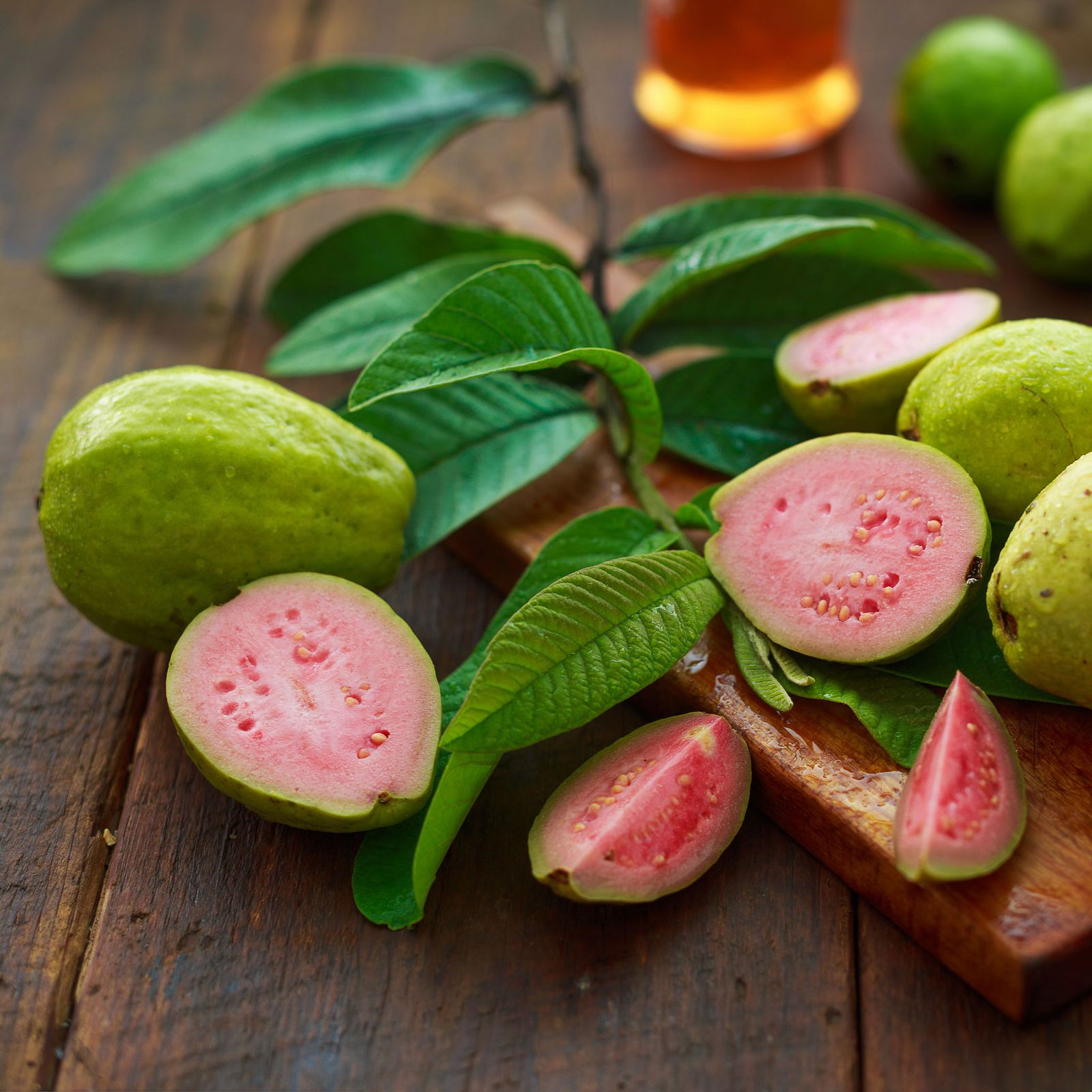 guayaba hojas