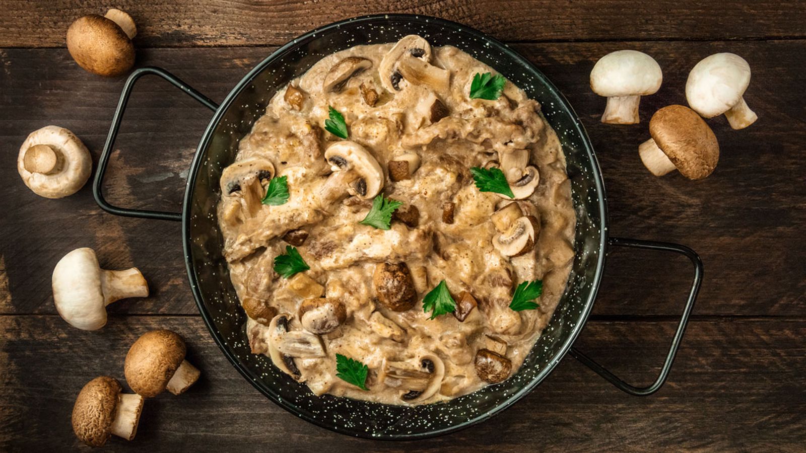 recetas setas xl