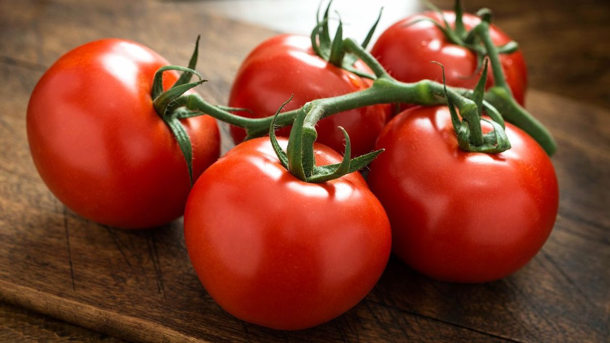 Tomates de rama
