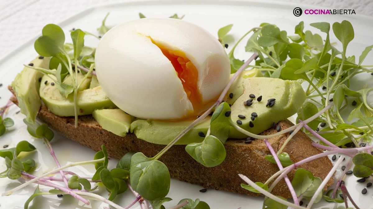 karl6847 huevo aguacate xl