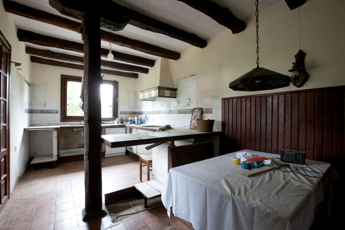 Programa de Decogarden del 20 de noviembre de 2016 1