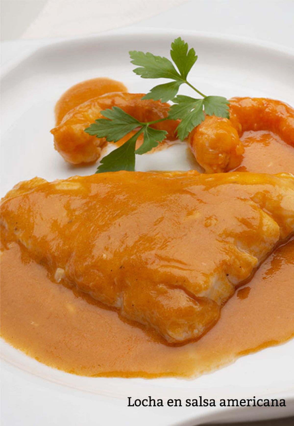 locha en salsa americana v