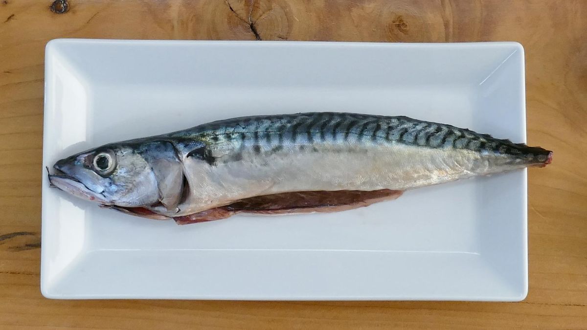 Cómo limpiar caballa o verdel   Pescado