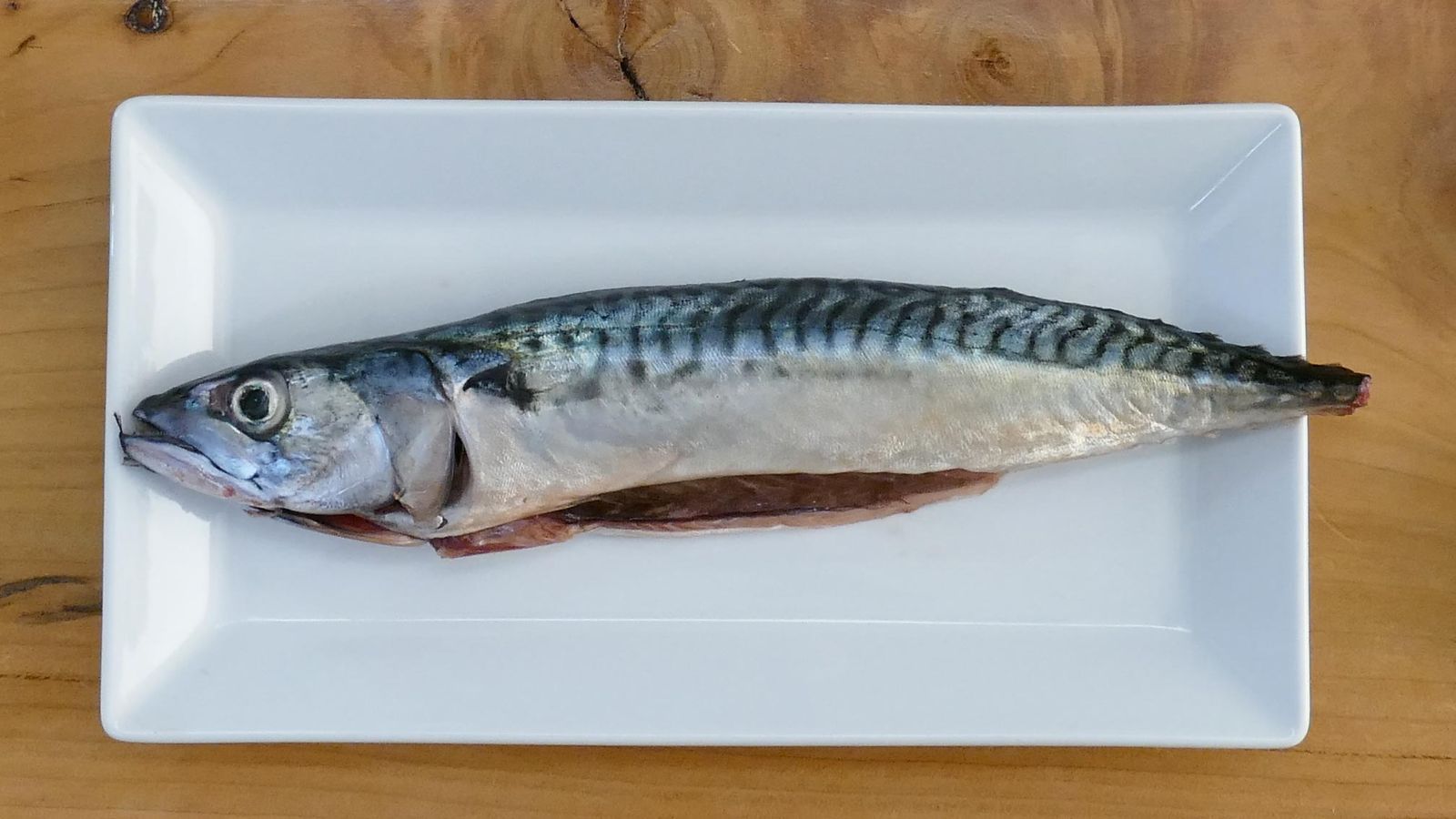 Cómo limpiar caballa o verdel Pescado Cómo limpiar caballa o verdel Pescado
