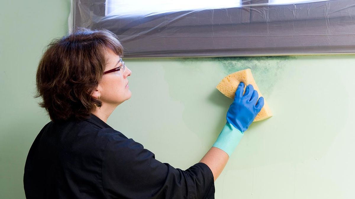 brico 0535 1 eliminar mancha humedad paso 2