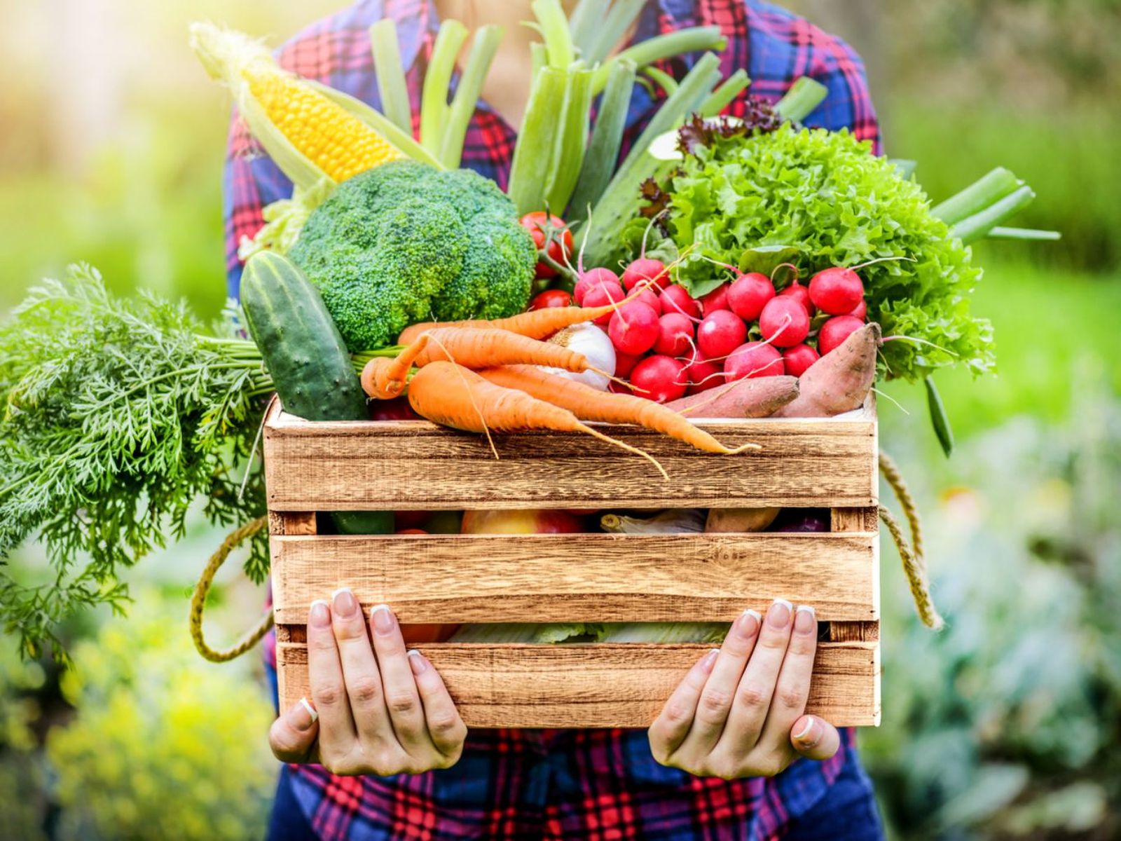 cada estación ofrece oportunidades únicas para crear un jardín precioso y sabroso.