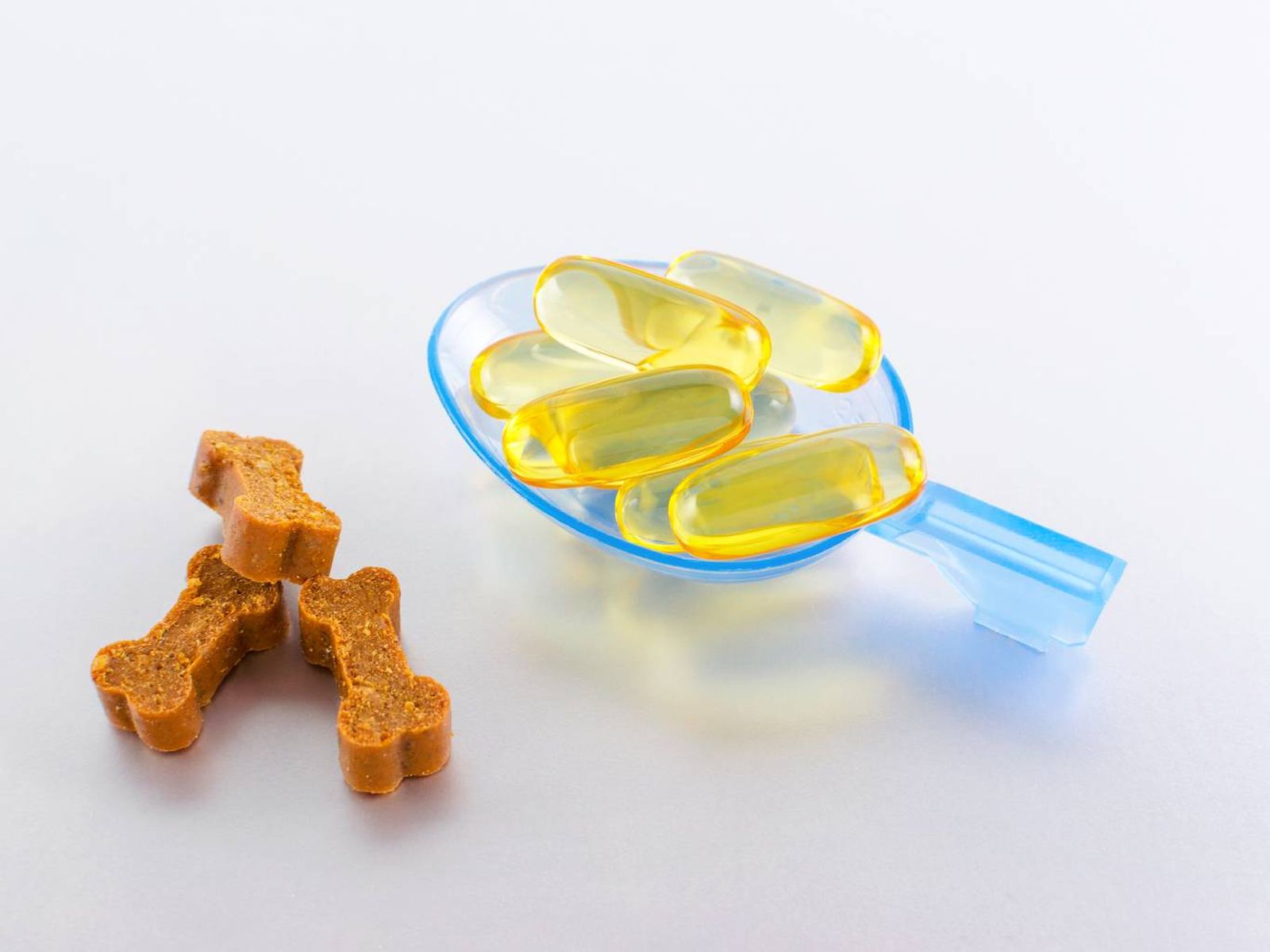 Algunos suplementos pueden apoyar el funcionamiento cognitivo en perros mayores. Algunos suplementos pueden apoyar el funcionamiento cognitivo en perros mayores.