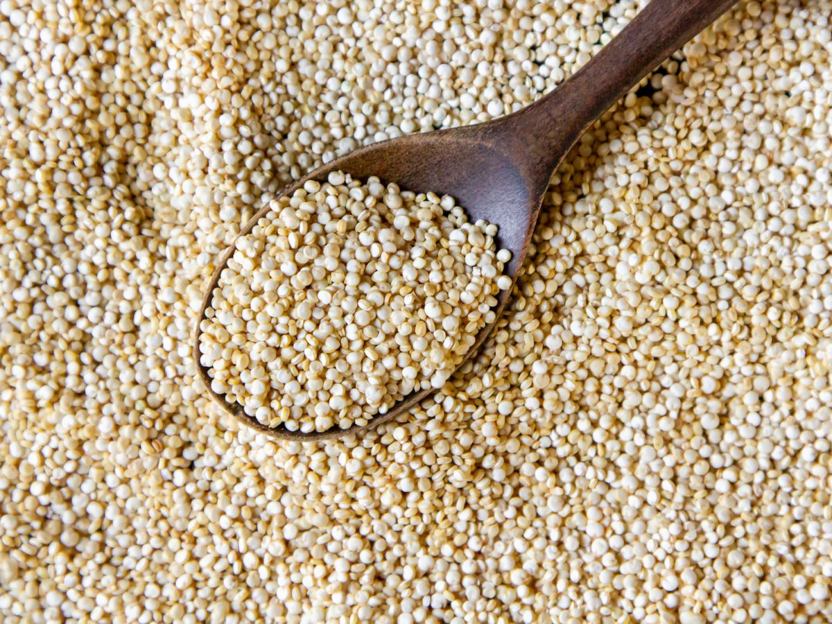 La quinoa inflada aporta textura y proteínas; la cocida puede mezclarse con verduras para espesar sin pan rallado.