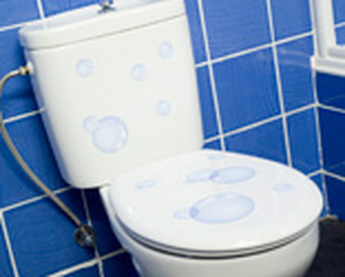 brico 0645 adhesivo inodoro paso 8