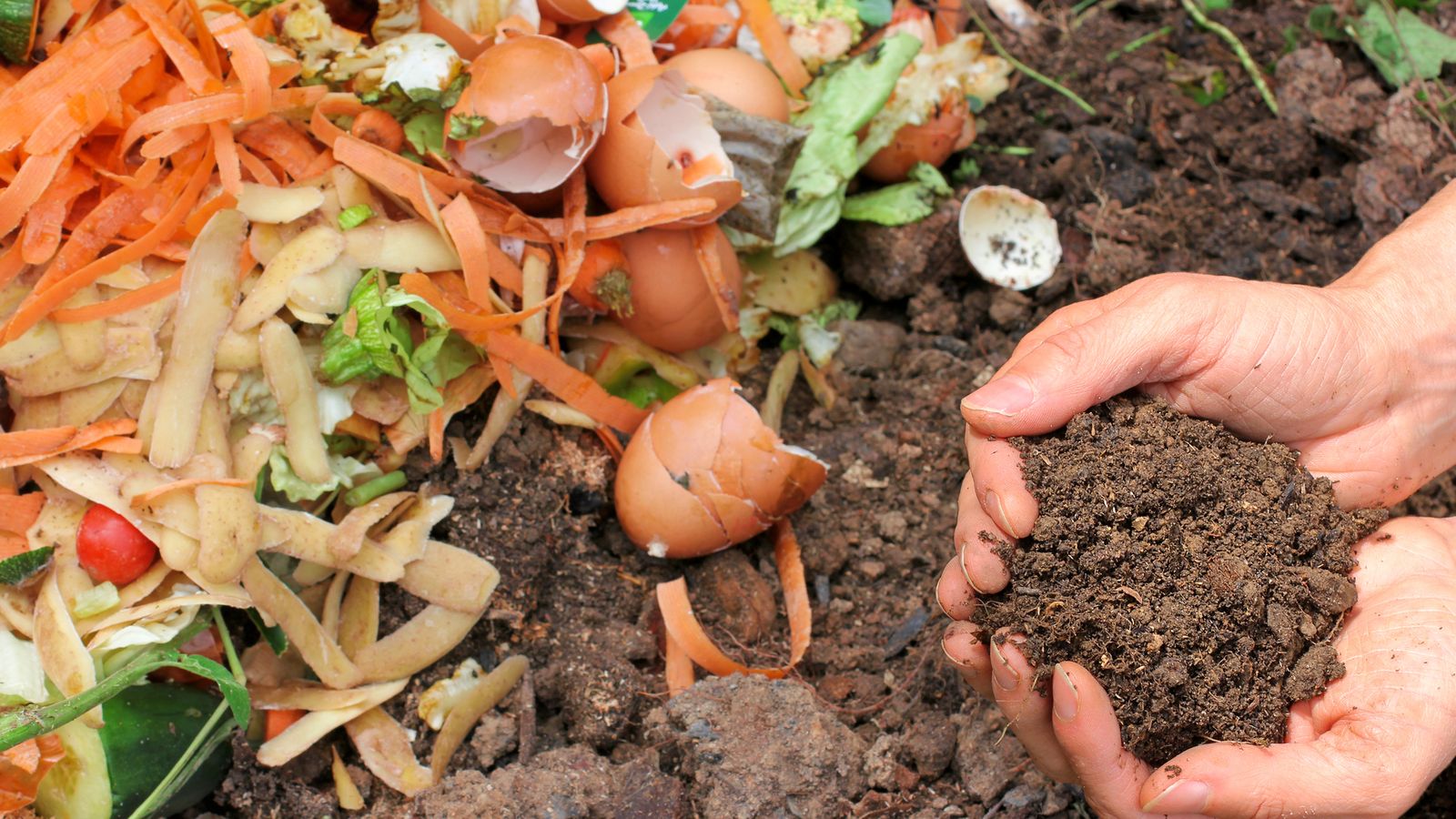 El desperdicio alimenticio es un problema global El desperdicio alimenticio es un problema global