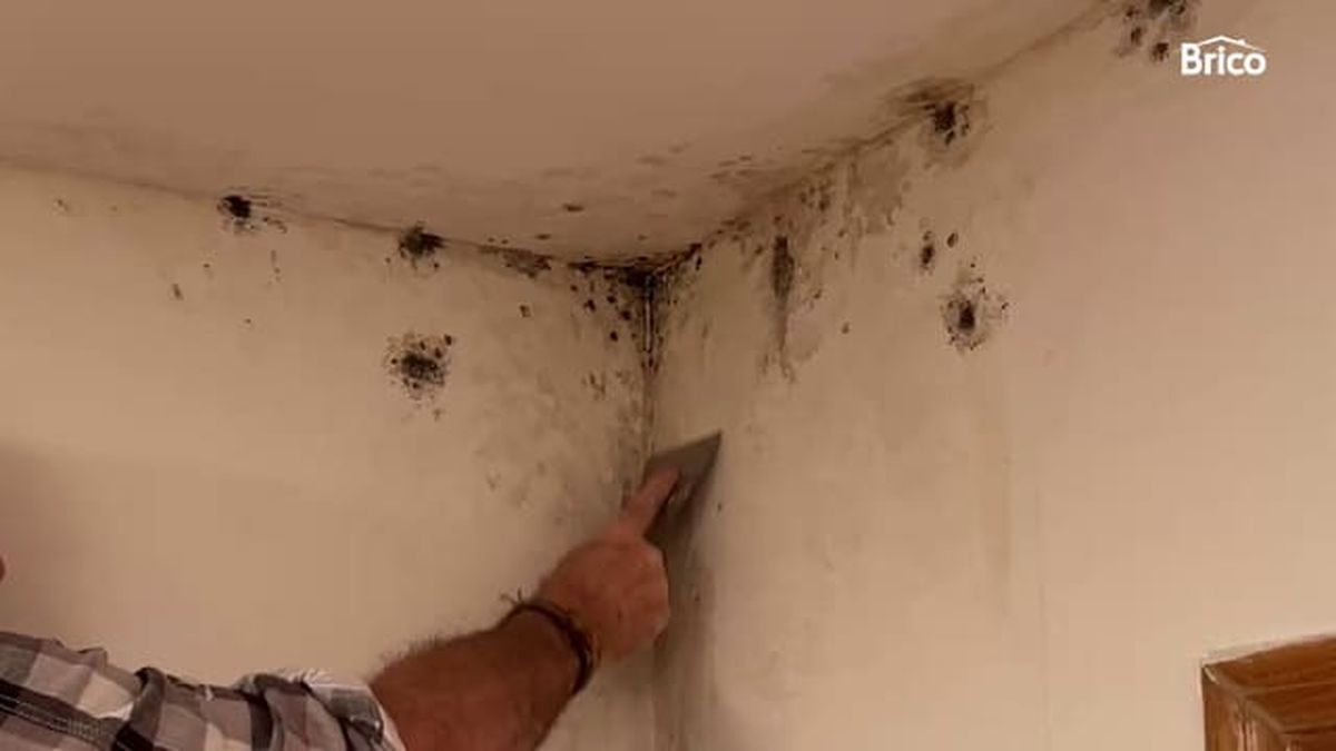 Brico 25 como quitar el moho de las paredes paso1