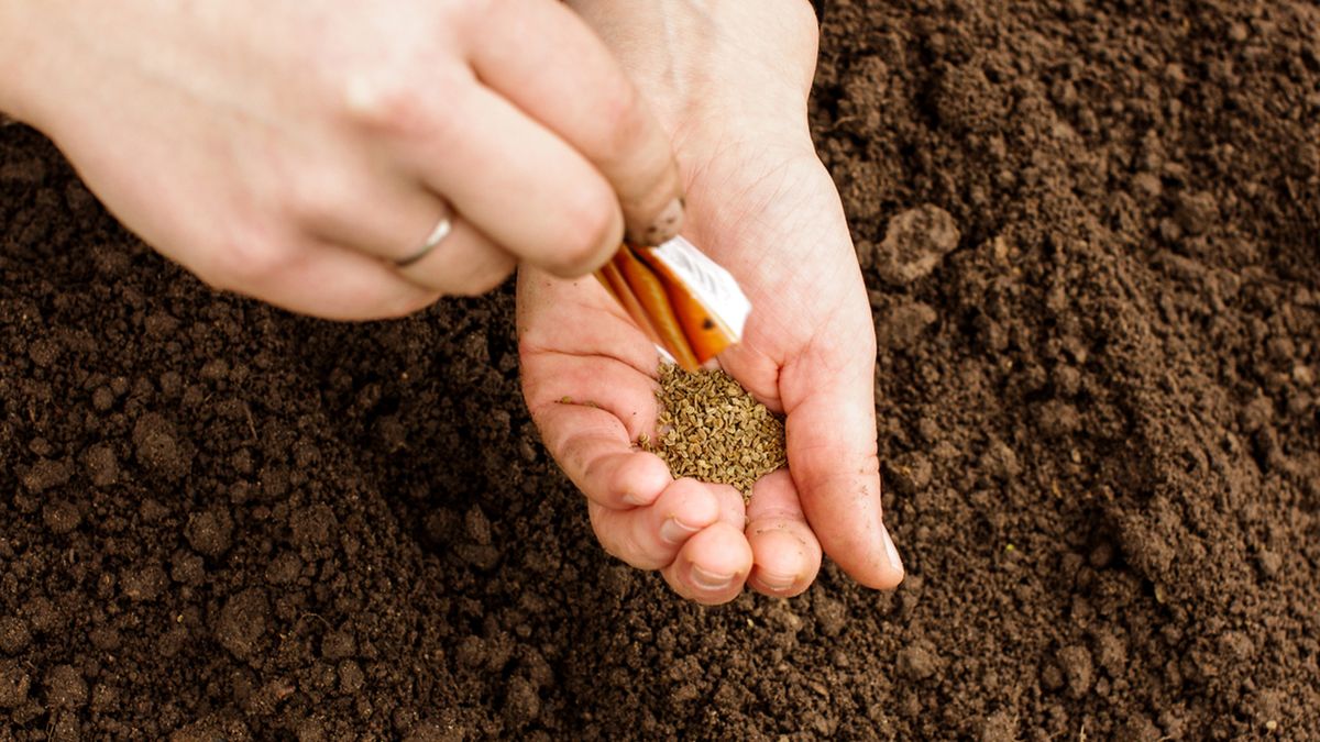 tareas jardineria mayo hemisferio sur