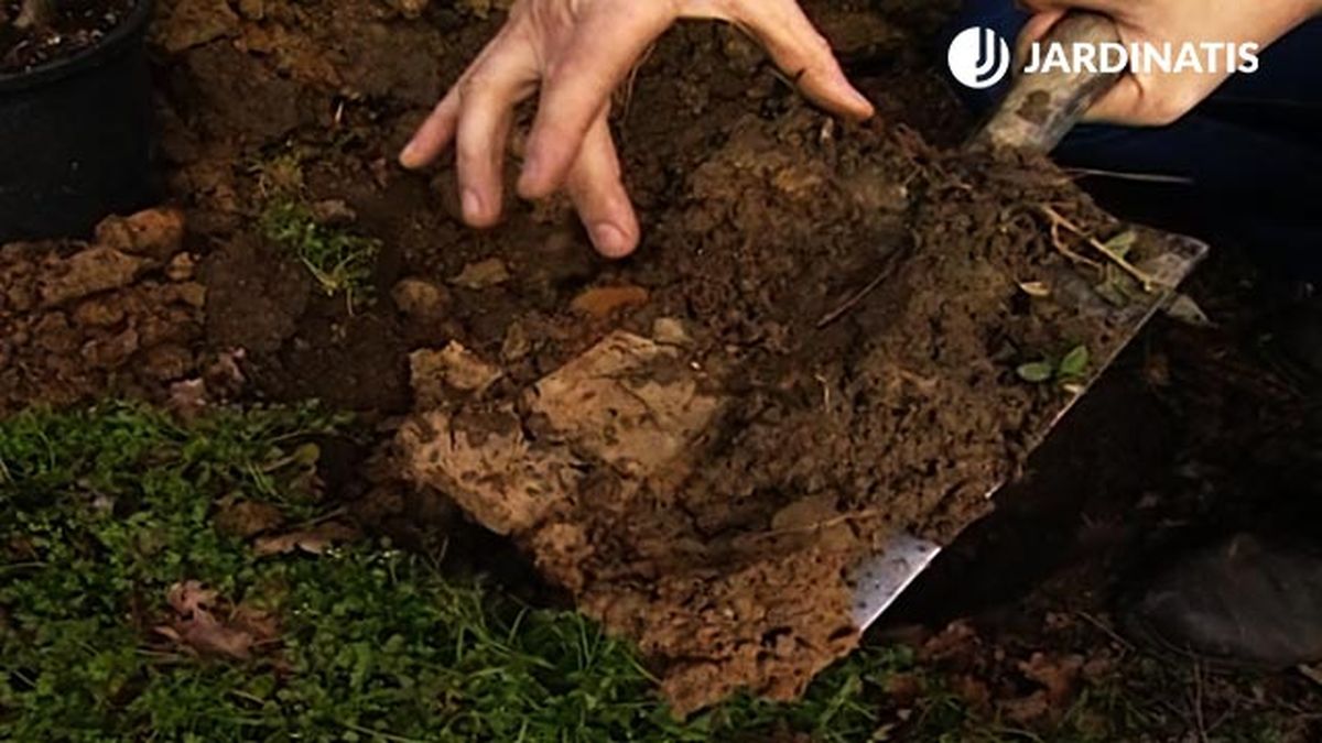 dos perfiles en la tierra brico 547 jardin