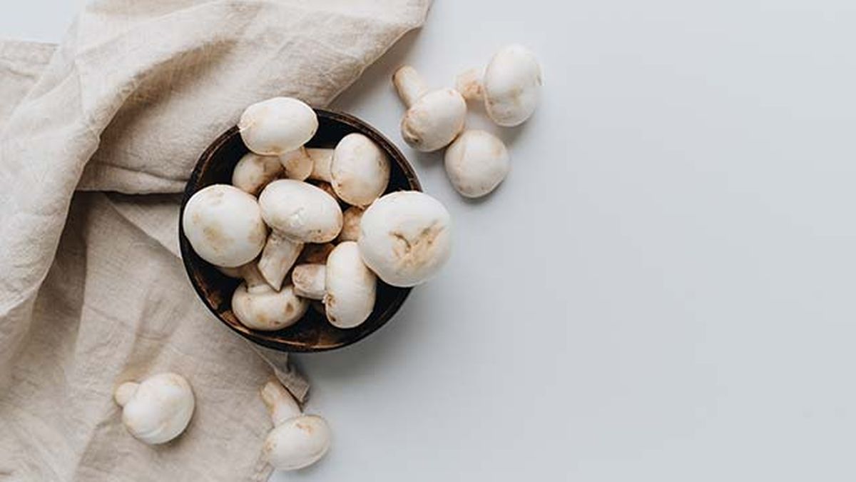 setas comestibles champinon comun