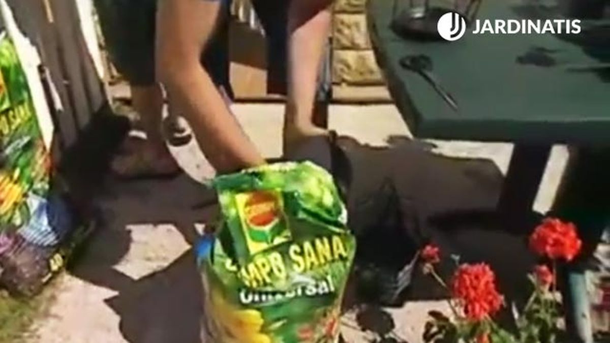 plantacion geranios pared sustrato hidrocontrol