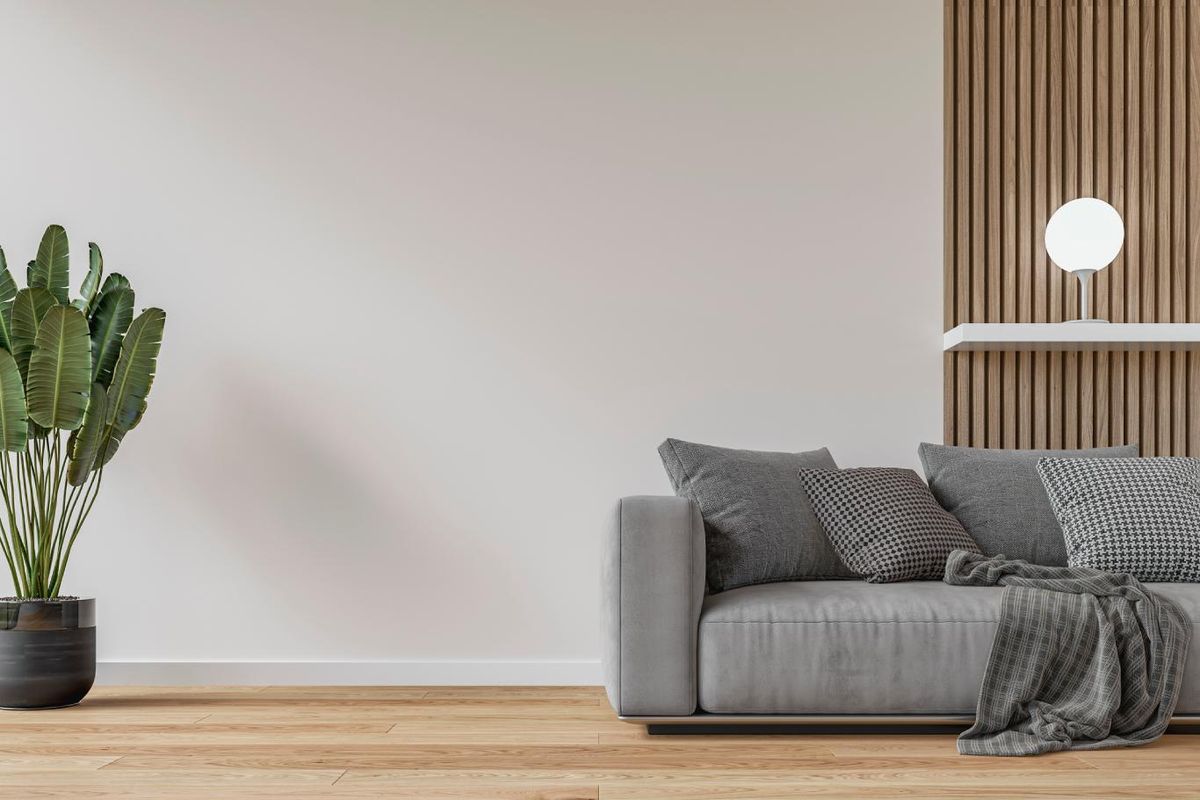 La planta crea una sombra gris sobre la pared blanca.