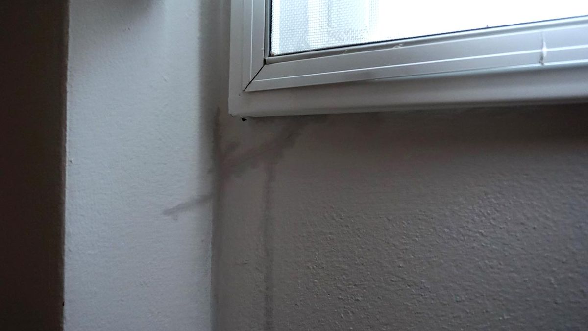 Humedad por filtración en la pared