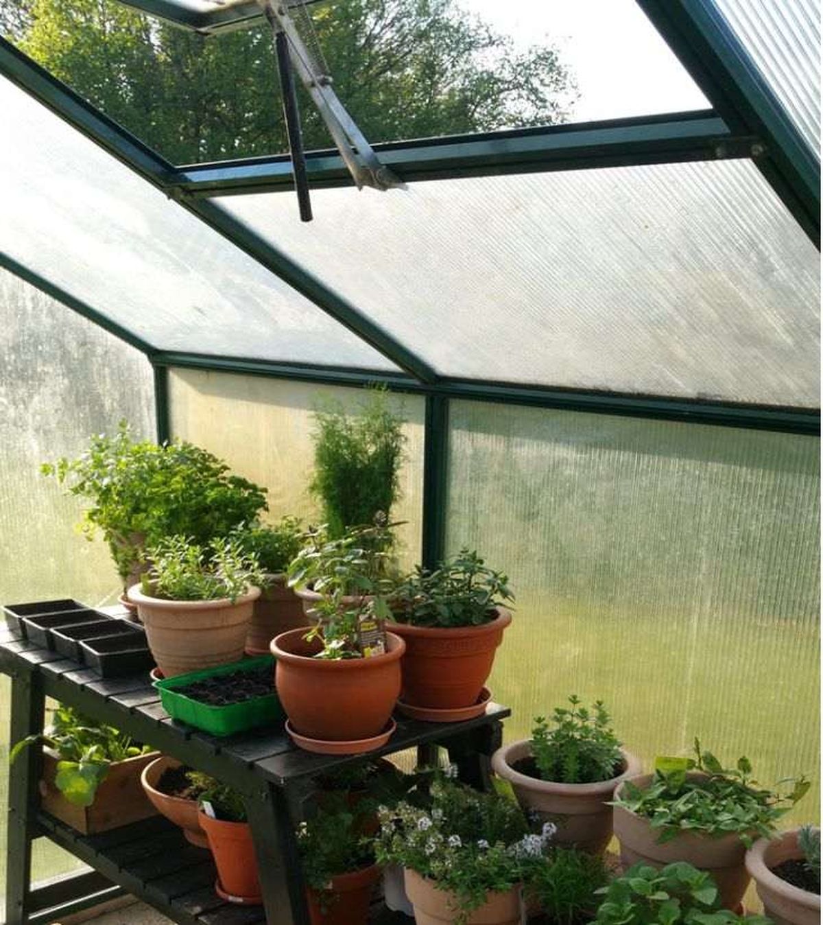 jardin de invierno luz temperatura