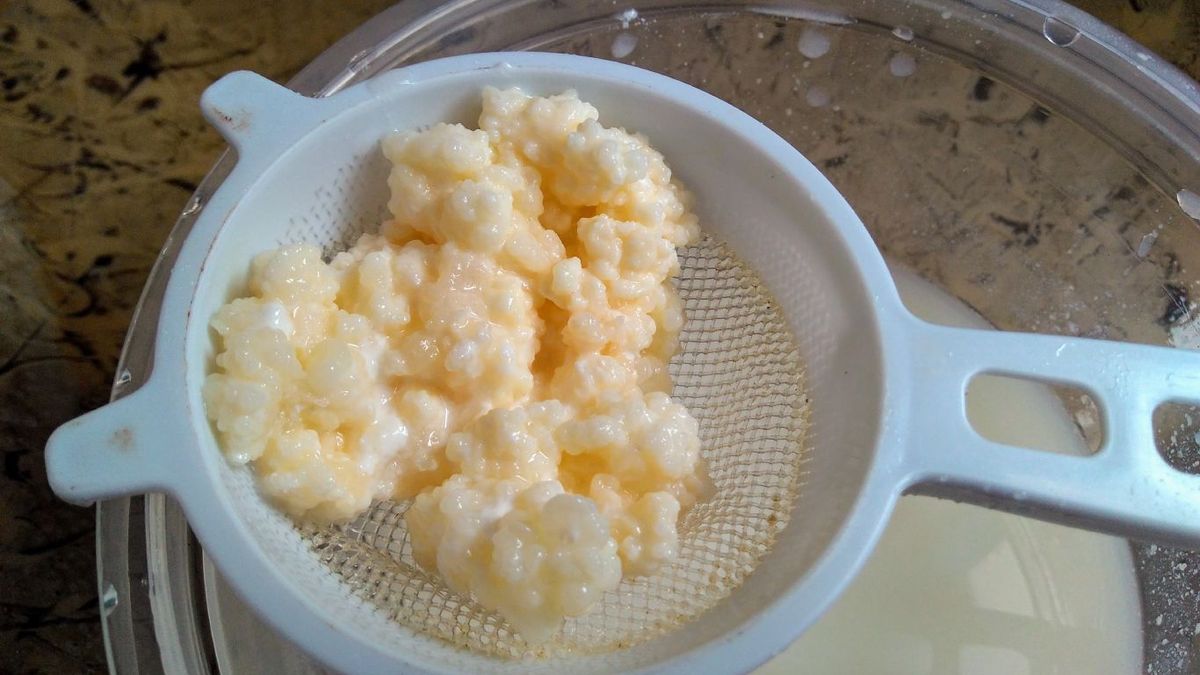 Cómo hacer kéfir en casa