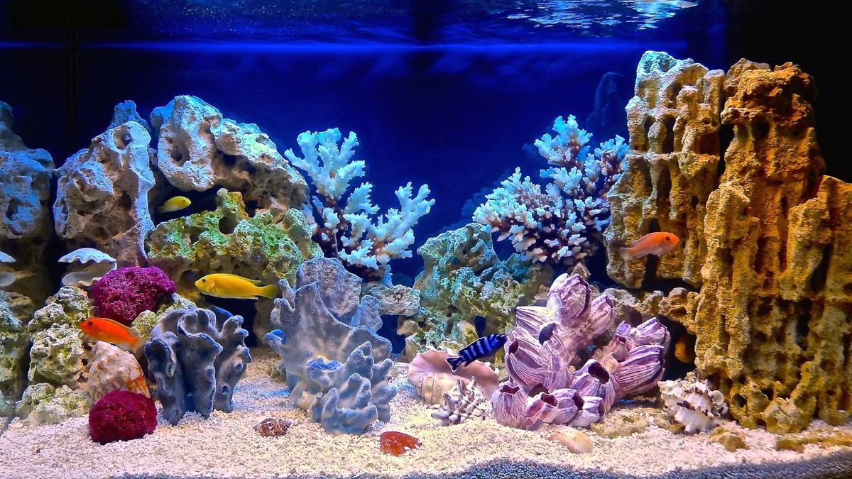 Lo esencial: ¿qué necesitas para empezar?