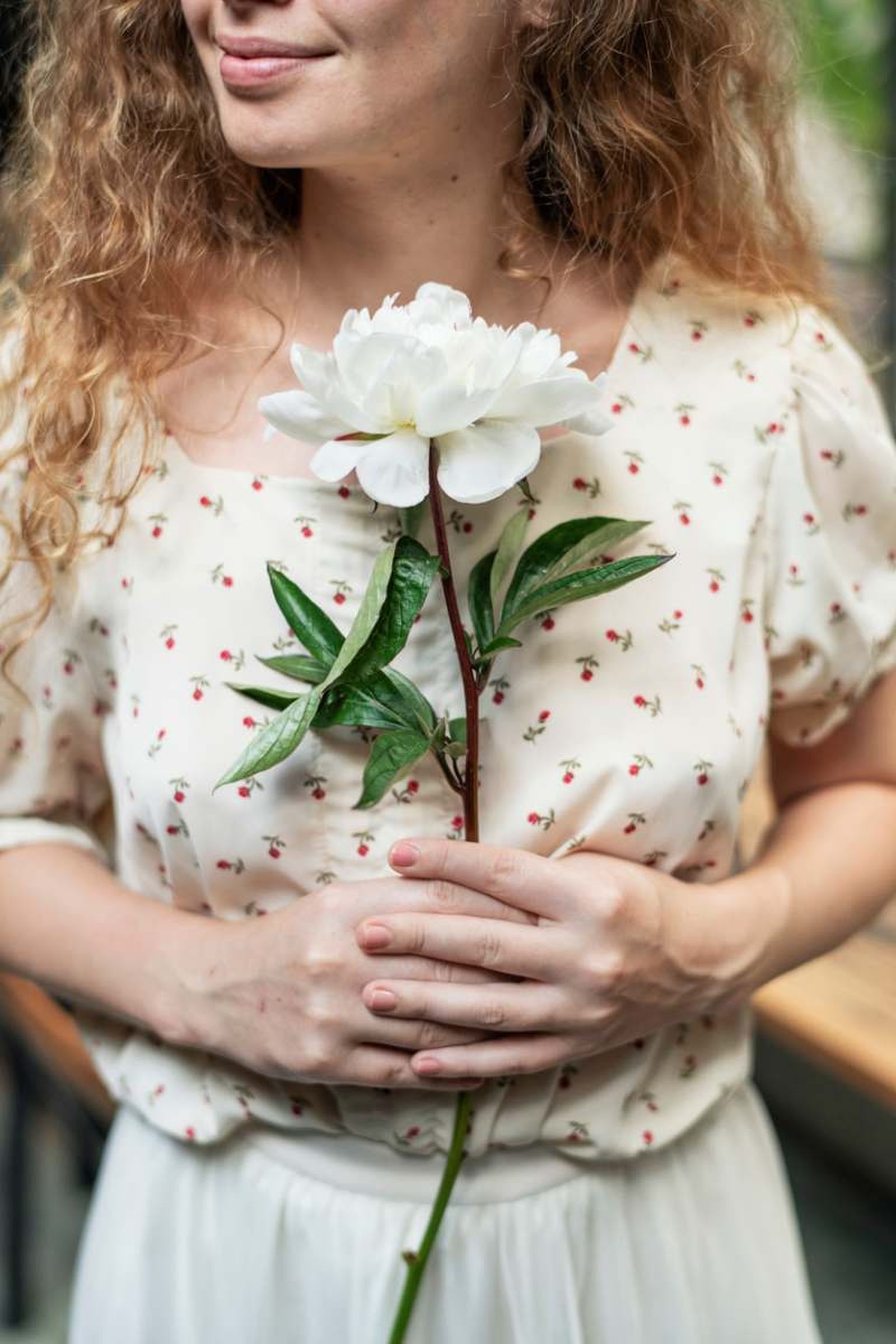 Flor de peonía blanca. Flor de peonía blanca.