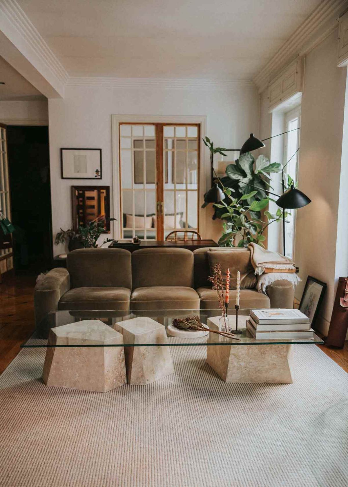 Ficus lyrata en una esquina del salón.