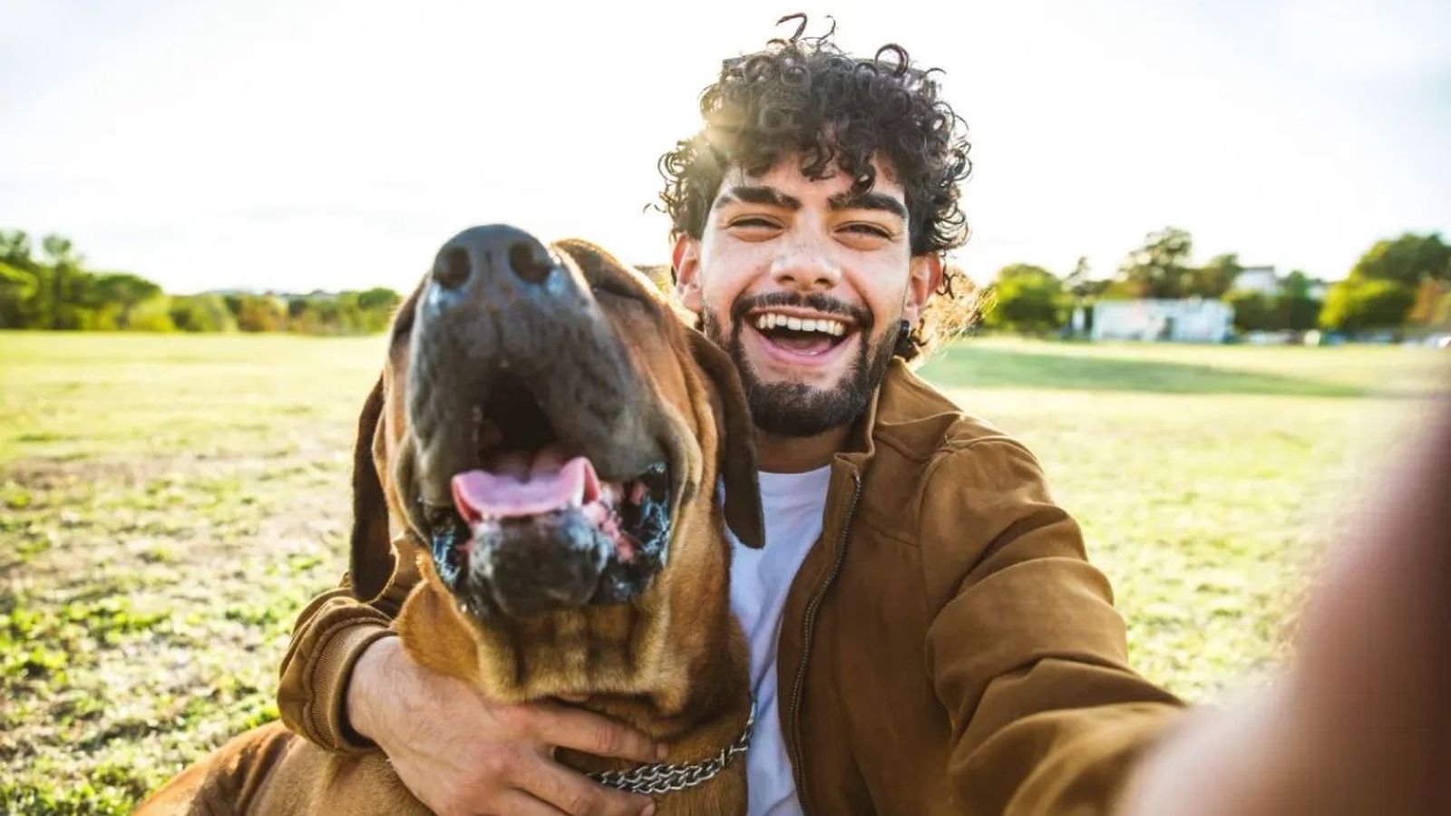 bonitas frases de perros y duenos ok