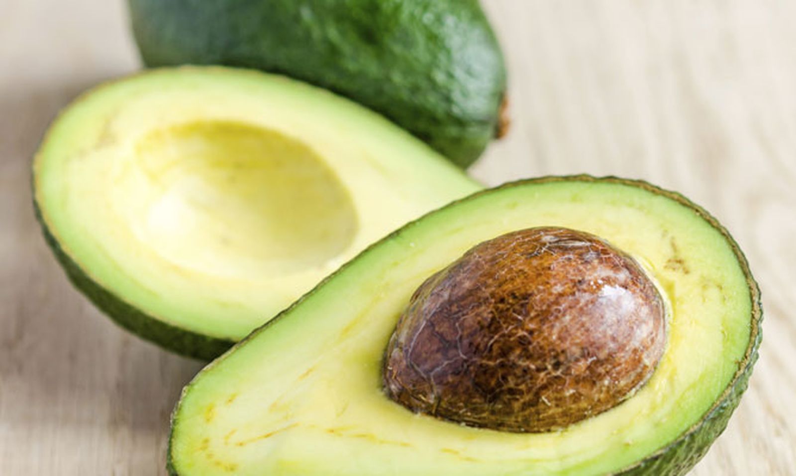 cultivar aguacate casa