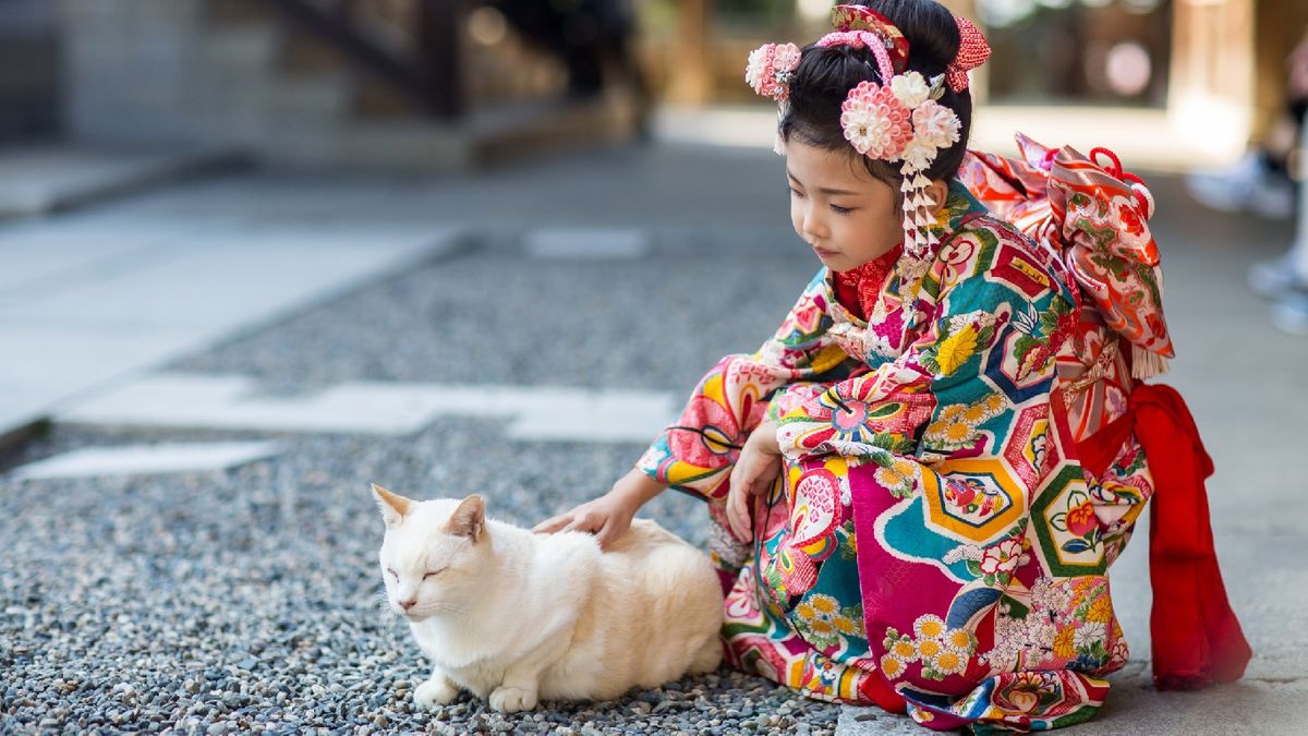 Japón tiene una relación muy especial con los gatos