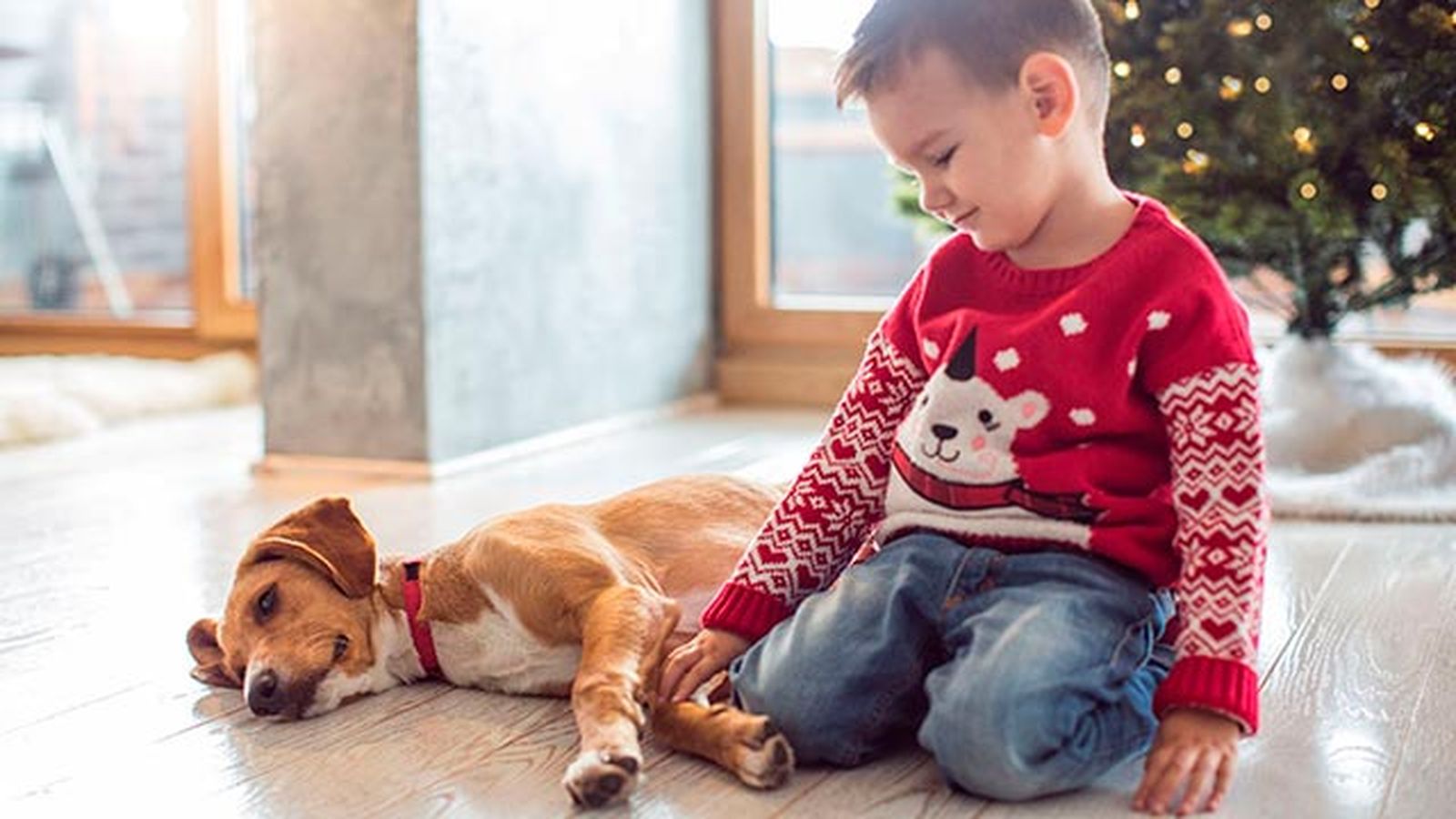 Regalarle una mascota a un niño es una decisión que hay que meditar.