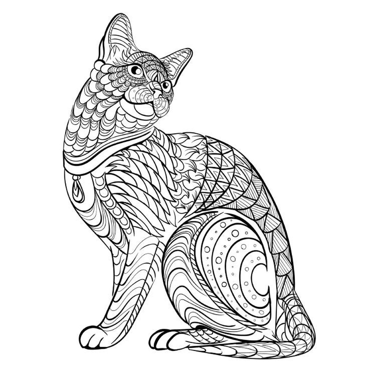gato mandala
