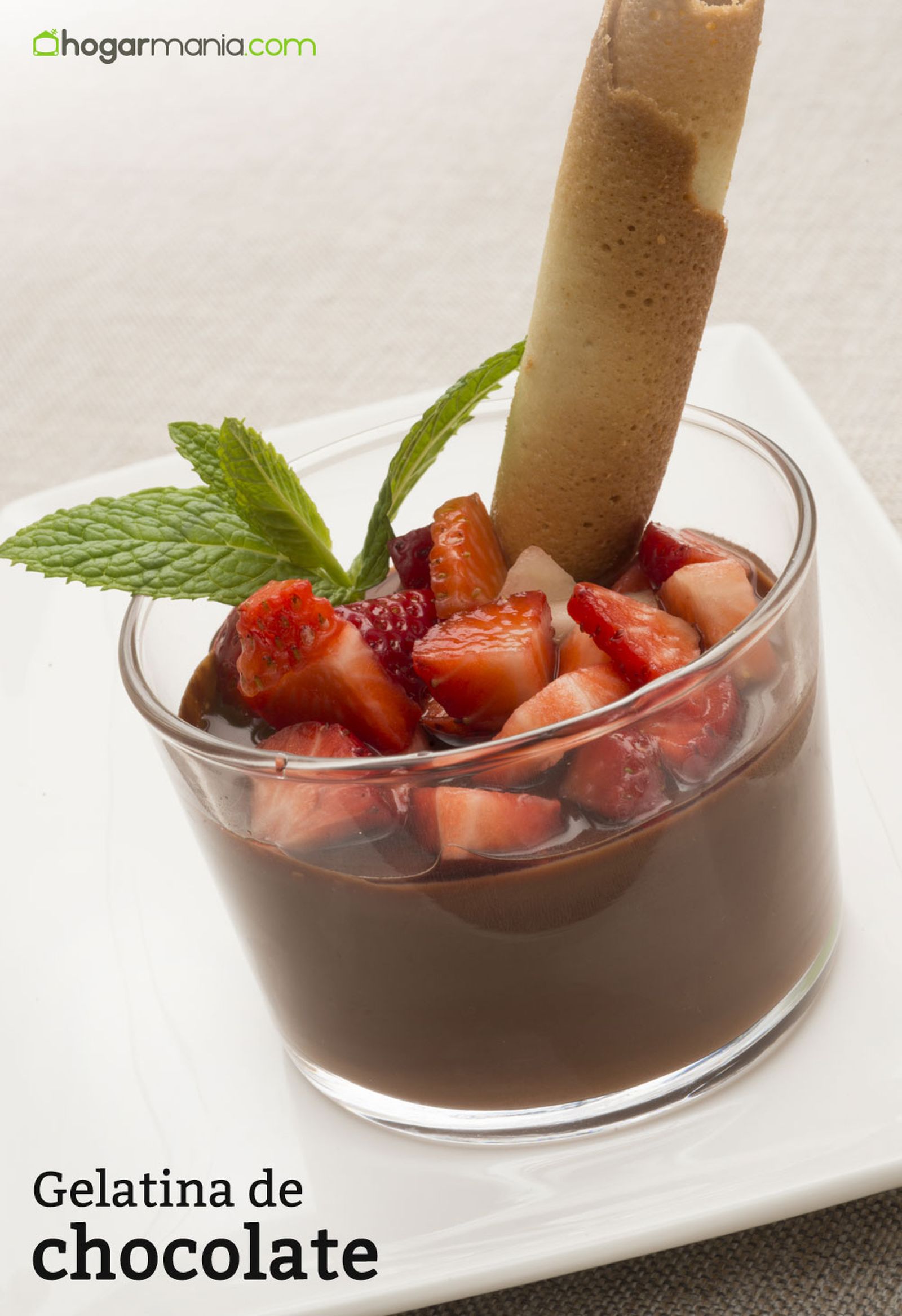 6150 2 Gelatina de chocolate vertical xl